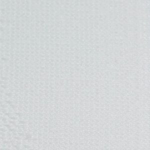 Autumn_WHITE-COLOUR